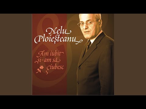 Read more about the article Nelu Ploieșteanu – Trec ţiganii