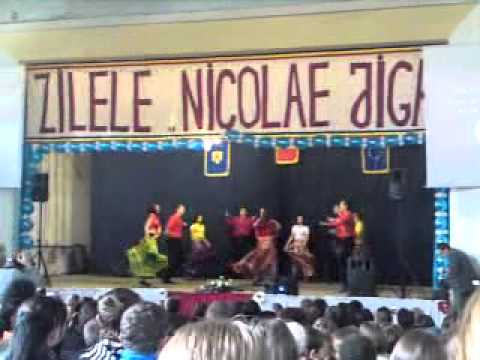 Read more about the article Dans ţigănesc Tinca