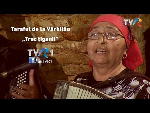 Read more about the article Taraful de la Vărbilău – „Trec ţiganii” la emisiunea Politică şi delicateţuri TVR 1