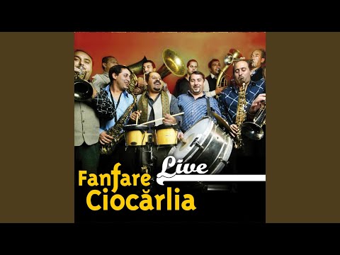 Read more about the article Melodii Fanfara Ciocarlia